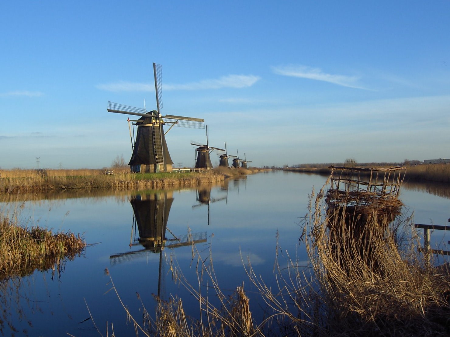 Traditional Dutch windmills at Kinderdijk, Netherlands — iconic imagery associated with Dutch culture and naming traditions